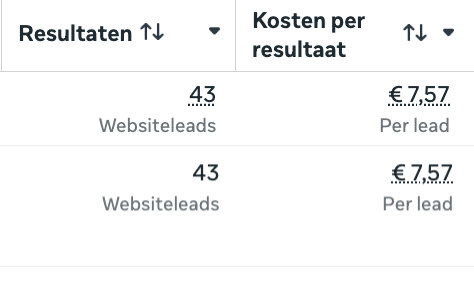 Meta Ads Manager resultaten: 43 websiteleads tegen €7,57 per lead